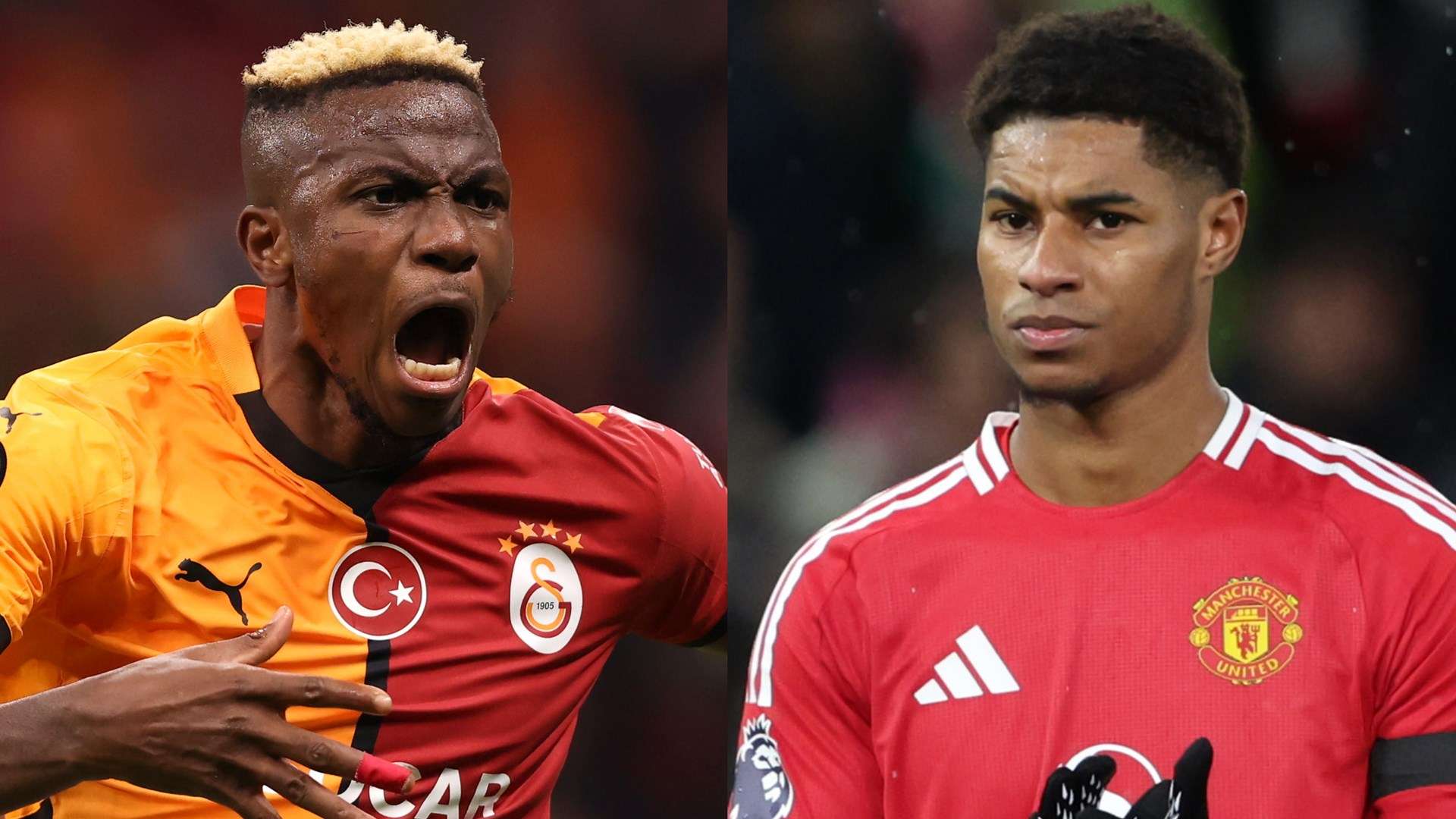 发展目标 发展目标