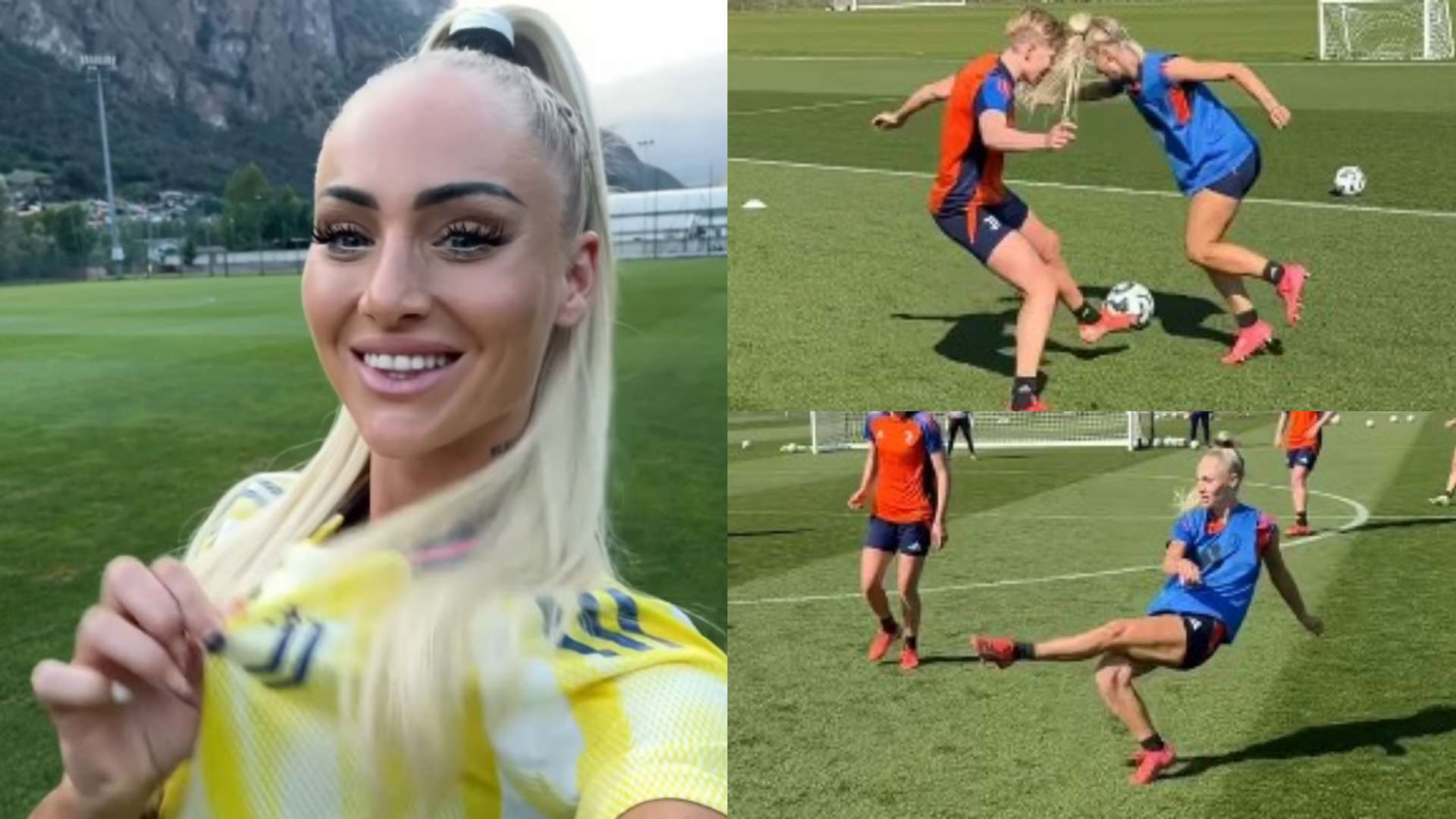 利奠定了基 利奠定了基